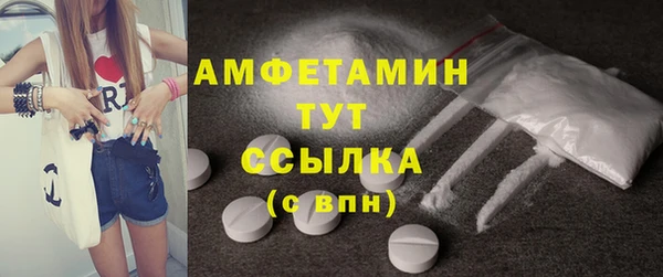 твердый Магас