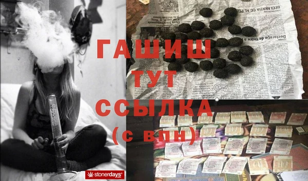 твердый Магас