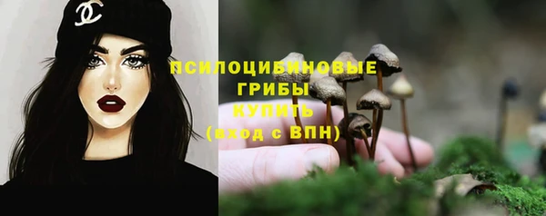 метадон Мегион