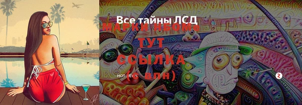 твердый Магас