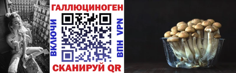 Галлюциногенные грибы GOLDEN TEACHER  Цоци-Юрт 